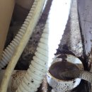 물커피숍 이미지