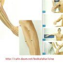 수근신근 및 상완요골근(hand extensors and brachioradialis) 이미지