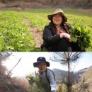 김종선농장 이미지