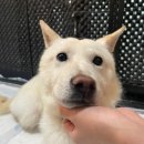 한아름 쉼터 이미지