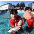 송어의 노래＜1＞ 이미지