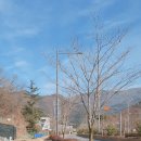 반야사 소장 전적류-법집별행록절요병입사기 | 광주 무등산의 문화재 [1]