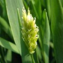 정읍휴게소(하) 이미지