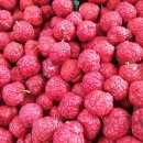 은택농장 이미지