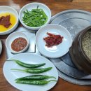 장수염소 이미지