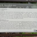 임수택 Daum카페