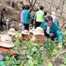 성산구 ⓒ-26 이미지