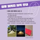 [JIMFF-제천여행] 캠프&amp;뮤직 페스티벌 솔직후기 / 다음엔 준비 잘해서 또 갈래!