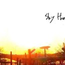 SKY포크