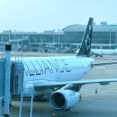 ST엔터테인먼트 | 인천 상하이 아시아나 OZ367 기내식 후기, 특별 기내식 메뉴까지 공개