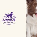 언제나사랑할개