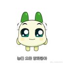 캄그루밍 | 에미레이트 런던 오픈데이 후기 24.02.07 _영테+파이널 인터뷰