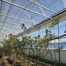 은혜과일 이미지