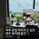 아이러브제주모텔 | 제주 동쪽 조천 북카페 추천 | 혼자 가기 좋은 아이러브눅