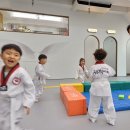 수호천사 태권도장 이미지