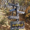 경상북도수목원은 지금 단풍 절정, 포항 가을 단풍 나들이 가볼만한 곳