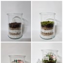 경남로봇고등학교 | 🤖 로봇고등학교 기후환경생태교육 공기정화 테라리움 만들기! 🌿