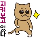 해안성 이미지