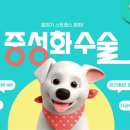 24시 이오동물병원 이미지