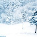 입석목장 이미지