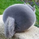 청춘호텔 이미지