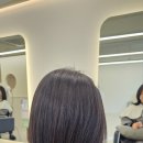 드유 이미지