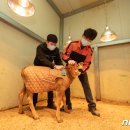 한우사육사 뉴스1