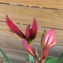 해동모텔 이미지