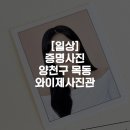 [일상]포토샵장인사진관 증명사진 양천구 목동 와이제이사진관
