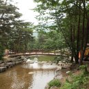 오도산 자연휴양림 이미지