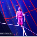 통영세계문화콘텐츠 공연 이미지