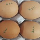 진일농장 이미지