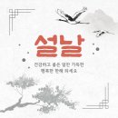 엘안경원 이미지