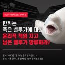 벨루가