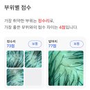 안산 탈모관리 두피커버 전문 헤드리치 탈모커버 방문 솔직후기