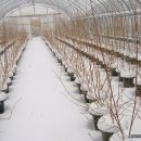 하얀이불 이미지