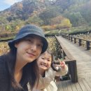 패밀리치과의원 이미지