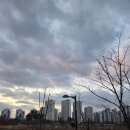 참나무공원 화장실 이미지