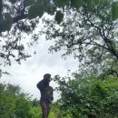 안녕, 아프리카 이미지