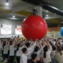 양평3가어린이집 이미지