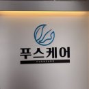 푸스케어송파