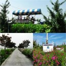 다라물농장 이미지