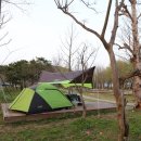 광주시민의숲 야영장 이미지