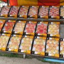 육일농원 이미지