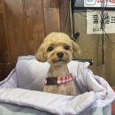 모여라연탄구이 이미지