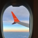 용암농장 | 1편 덴파사르 공항, 바투르산 지프투어, 블랙 라바, 킨타마니 카페, 커피농장, 새벽픽업, 내돈내산 후기