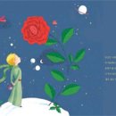 장미양과 이미지