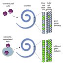 뉴톤보청기(시민회관점) | 고도 난청 유형에 따른 보청기 조절 방법과 중요성 tip!