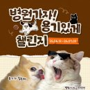 투썸펫 | “병원가자” 한마디에 고민됐던 순간, 마이브라운으로 준비한 펫보험 이야기 (가입 후기)