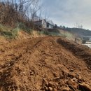 밤두둑농장 이미지